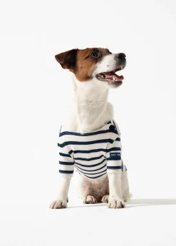 SAINT JAMES Accessoires Pour Chien*La Toutounière Ecru/marine