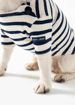 SAINT JAMES Accessoires Pour Chien*La Toutounière Ecru/marine