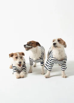 SAINT JAMES Accessoires Pour Chien*La Toutounière Ecru/marine