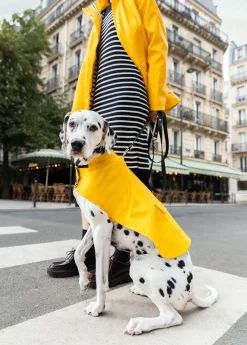 SAINT JAMES Accessoires Pour Chien*Le Toutouciré Jaune