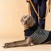 SAINT JAMES Accessoires Pour Chien*Le Toutoupull Navy/ecume