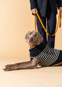 SAINT JAMES Accessoires Pour Chien*Le Toutoupull Navy/ecume