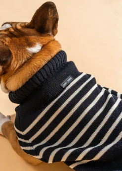 SAINT JAMES Accessoires Pour Chien*Le Toutoupull Navy/ecume